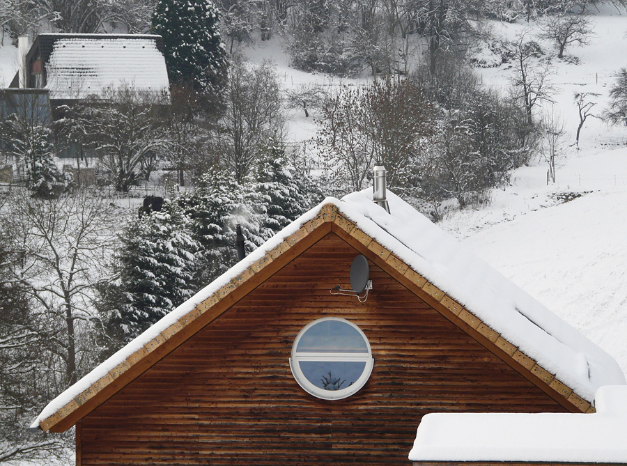 winterliche Kontraste