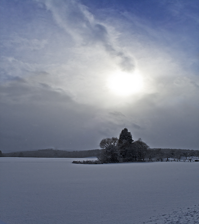 Winterliche Kontraste