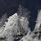 Winterliche Kristall-Wunderwelt