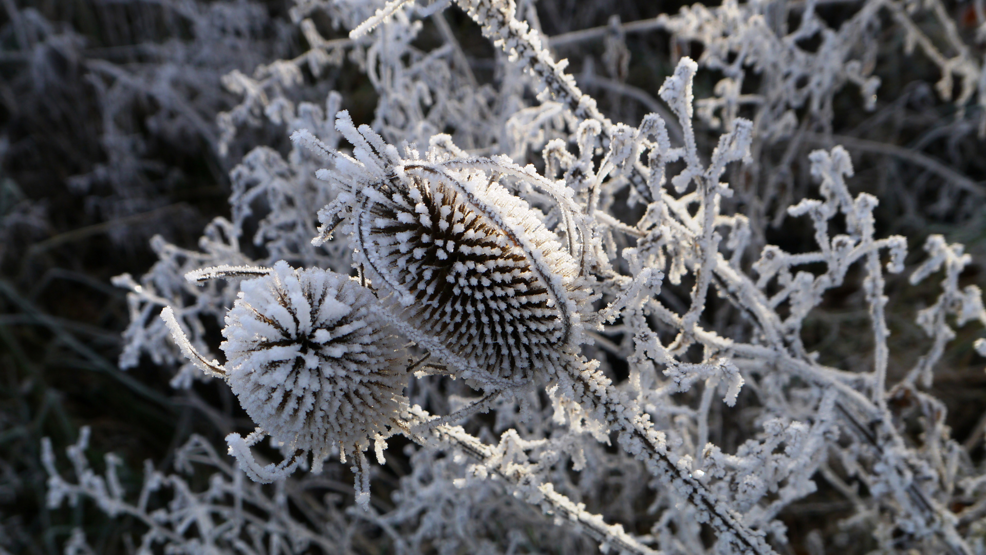  winterliche kunst