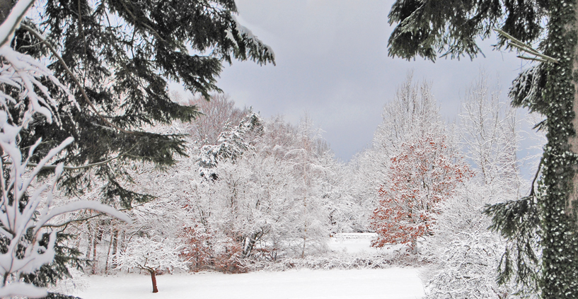 Winterliche Landschaft