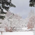 Winterliche Landschaft