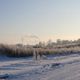 Winterliche Landschaft