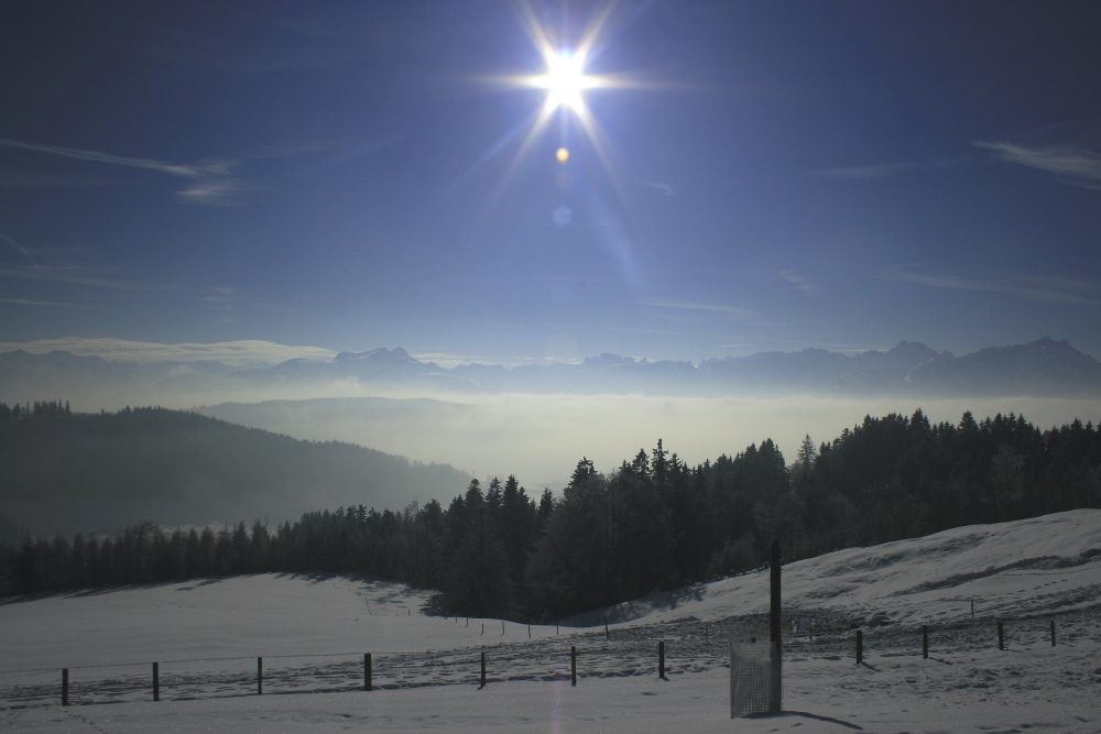 winterliche Landschaft