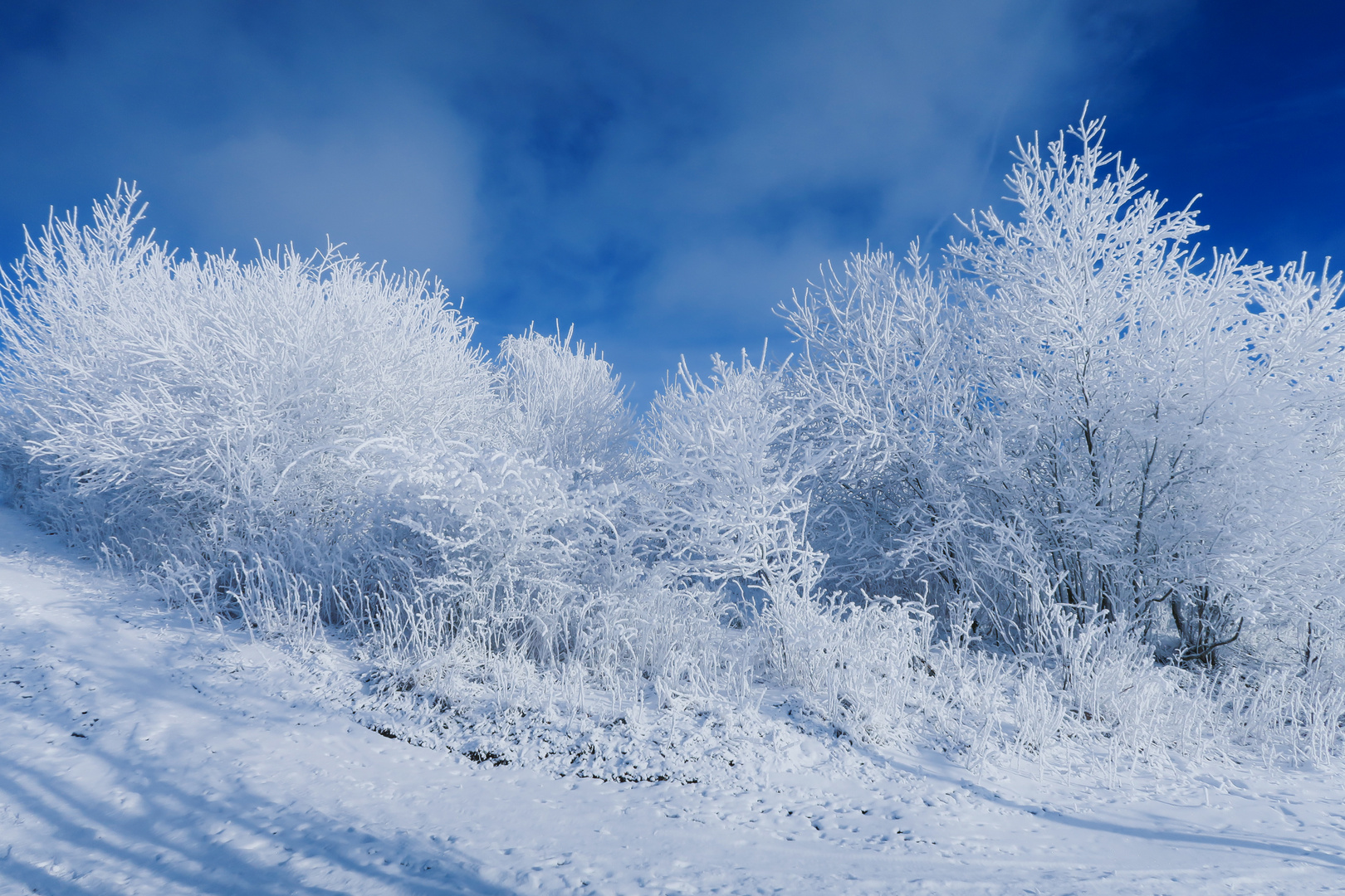 Winterliche Landschaft Foto Bild Jahreszeiten Winter Winterbilder Bilder Auf Fotocommunity