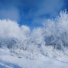 Winterliche-Landschaft