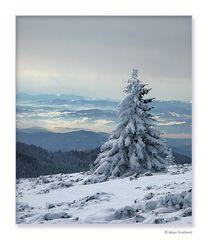 Winterliche Landschaft