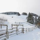 Winterliche Landschaft bei Sonnenschein (Nähe Schönau/ Baden- Würtemberg)