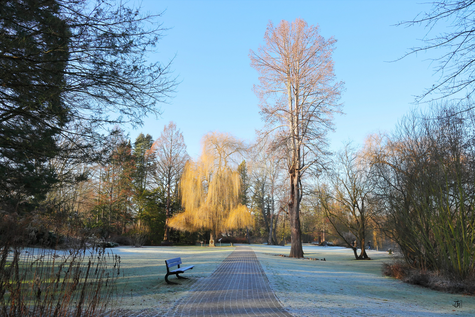 Winterliche Landschaft im Schulgarten Braunschweig