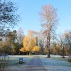 Winterliche Landschaft im Schulgarten Braunschweig