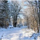 Winterliche Landschaft im Spessart !