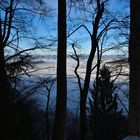 winterliche Landschaft mit Vordergrund an Nebelsuppe