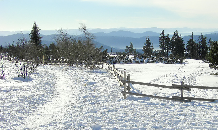 winterliche Landschaft mit Zaun