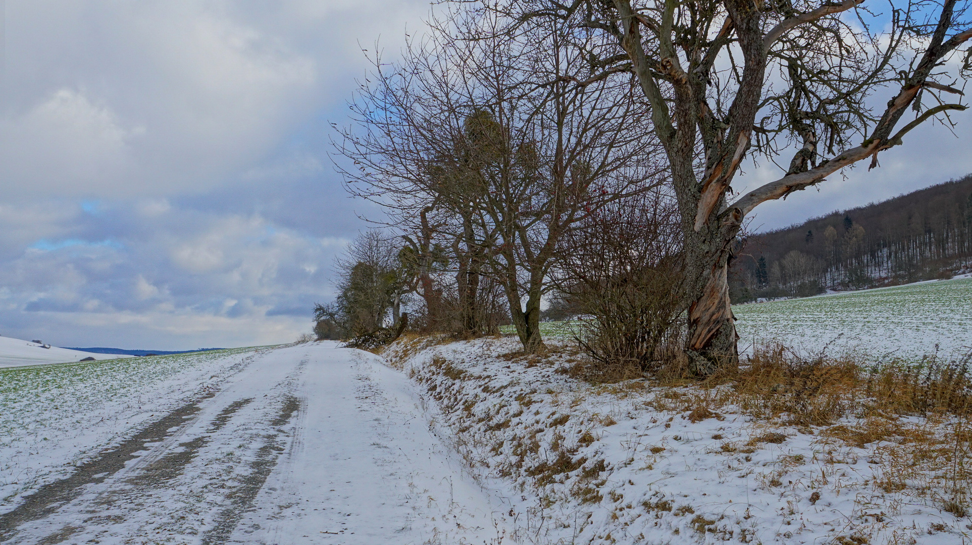 winterliche Landschaft (paisaje invernal)