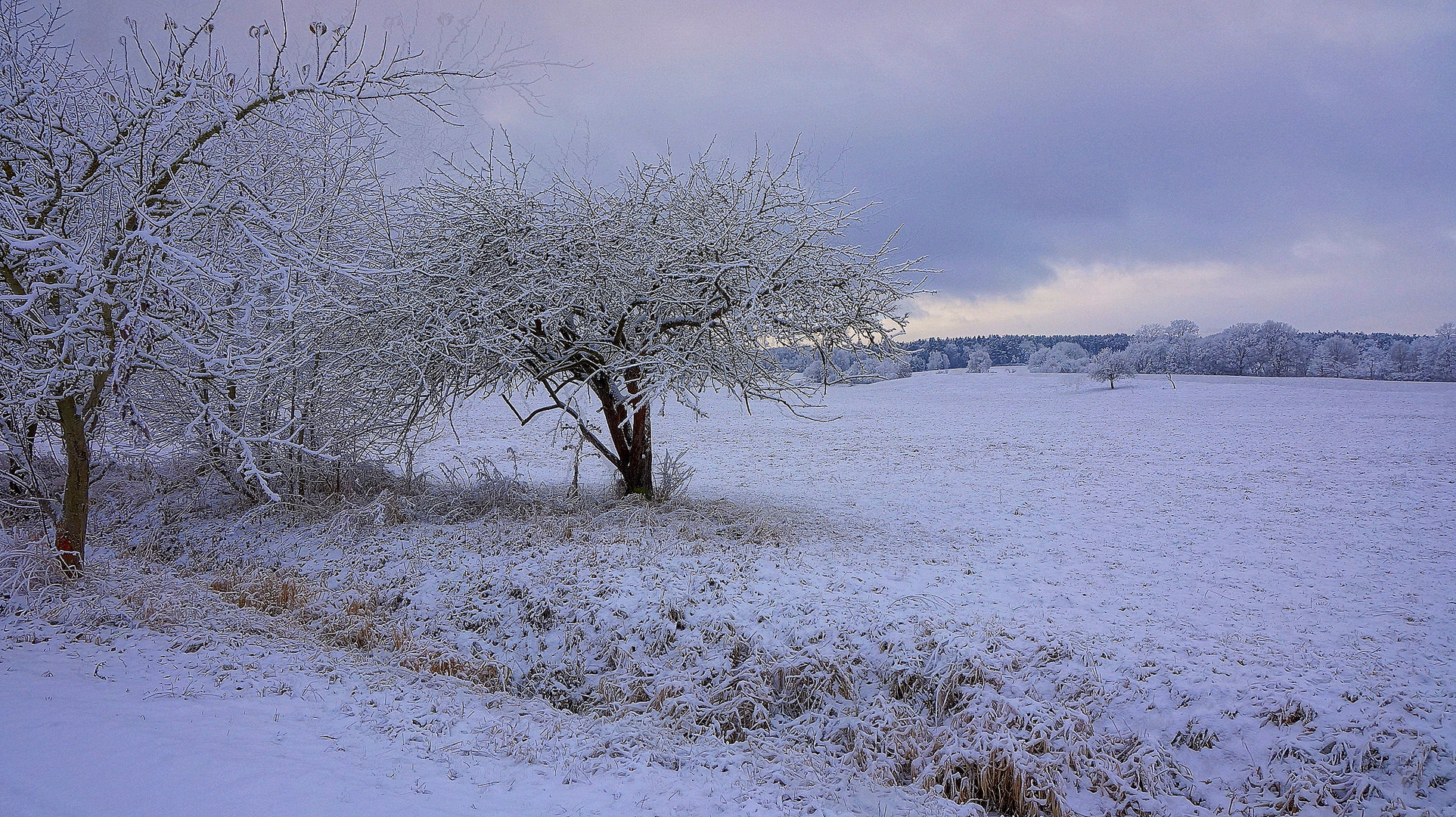 winterliche Landschaft (paisaje invernal)