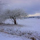 winterliche Landschaft (paisaje invernal)