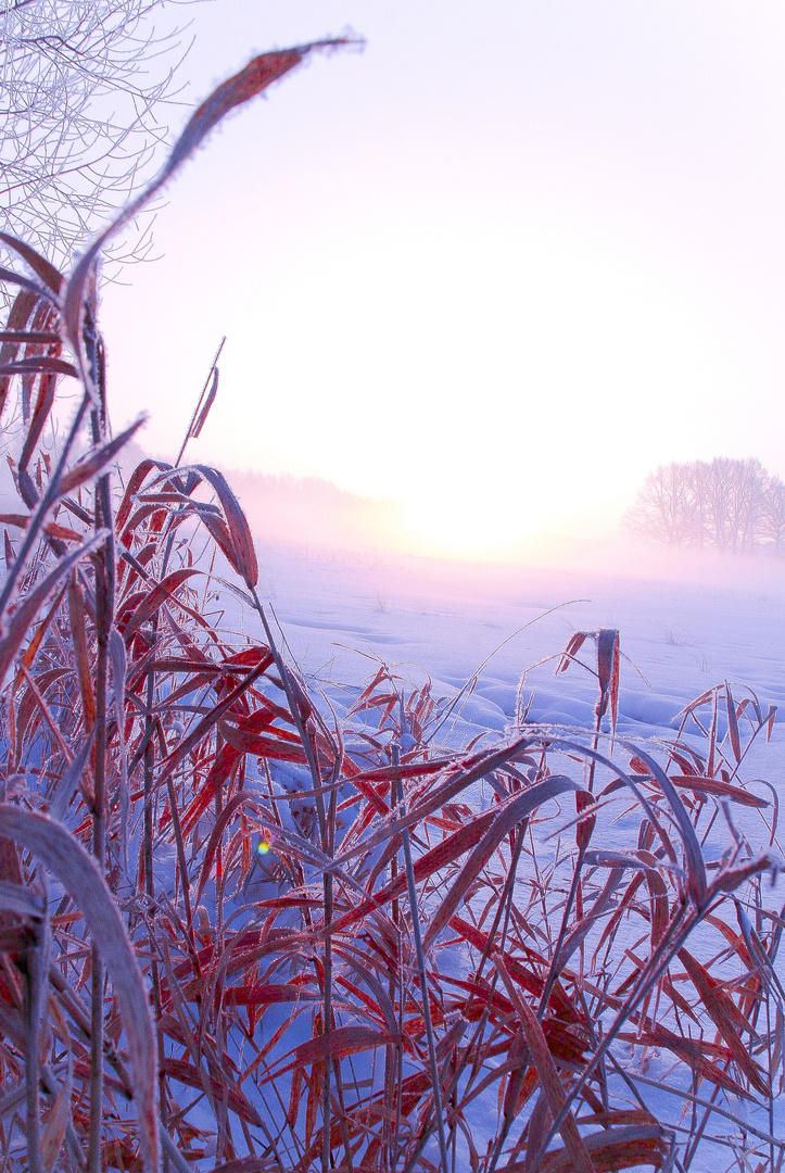 Winterliche Lichtmomente