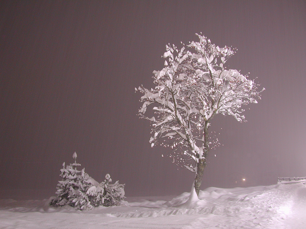 Winterliche Lichtmomente