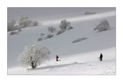 winterliche Lichtspiele