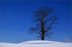 Winterliche Logenplätze