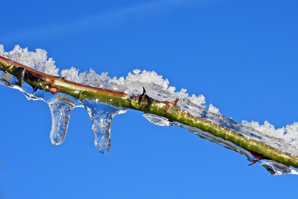 Winterliche Märchenlandschaft im Weiltal 01