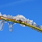 Winterliche Märchenlandschaft im Weiltal 01