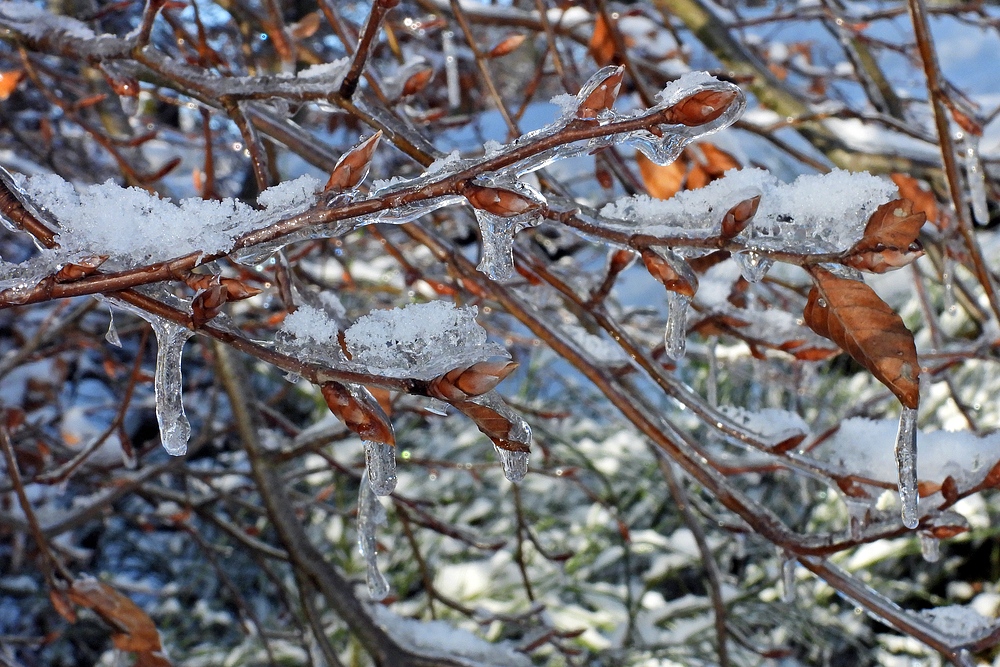 Winterliche Märchenlandschaft im Weiltal 03