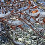 Winterliche Märchenlandschaft im Weiltal 03