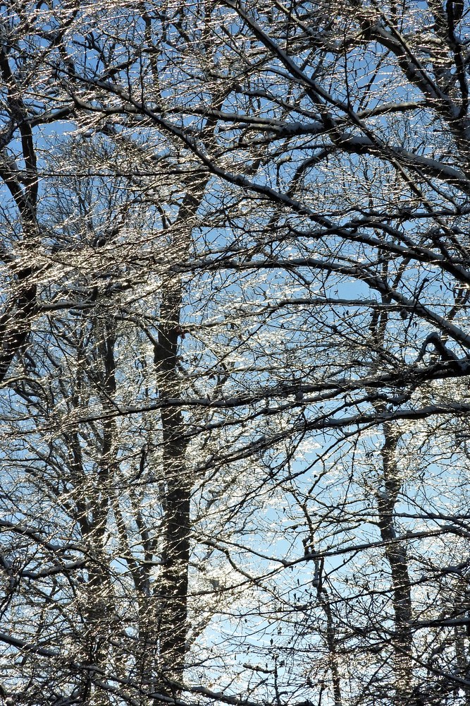 Winterliche Märchenlandschaft im Weiltal 05