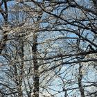 Winterliche Märchenlandschaft im Weiltal 05