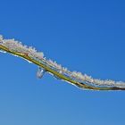 Winterliche Märchenlandschaft im Weiltal 07