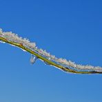 Winterliche Märchenlandschaft im Weiltal 07