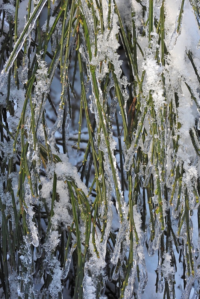 Winterliche Märchenlandschaft im Weiltal 08