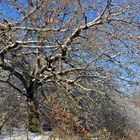 Winterliche Märchenlandschaft im Weiltal 10