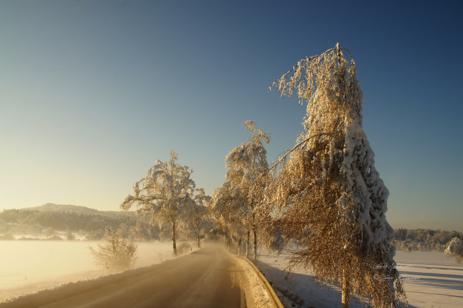 Winterliche Morgenidylle im Ampermoos