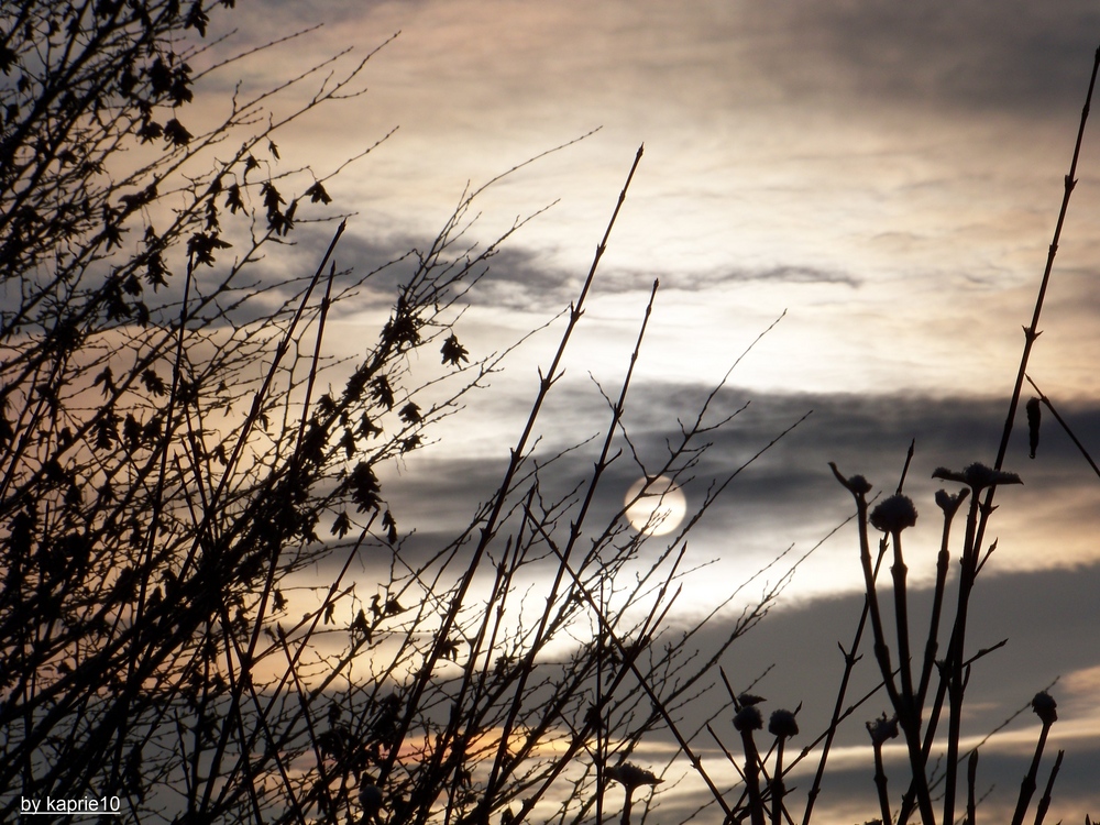 Winterliche Morgensonne