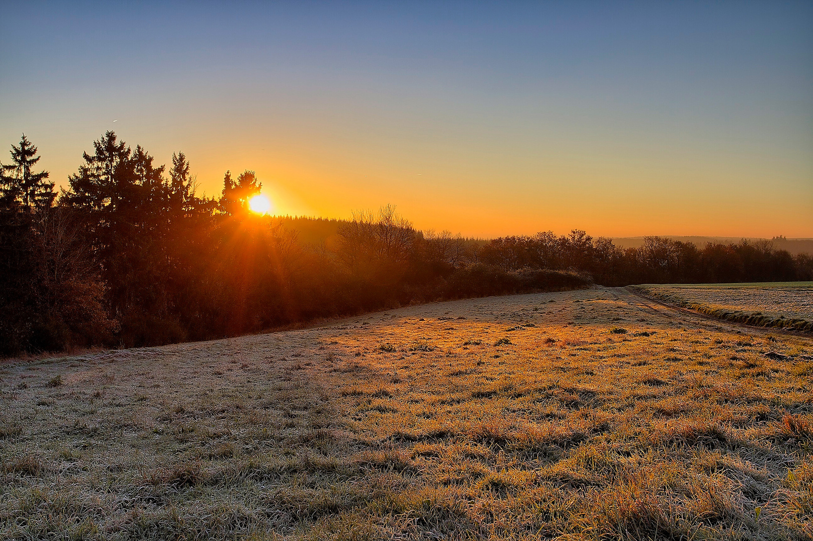 Winterliche Morgensonne