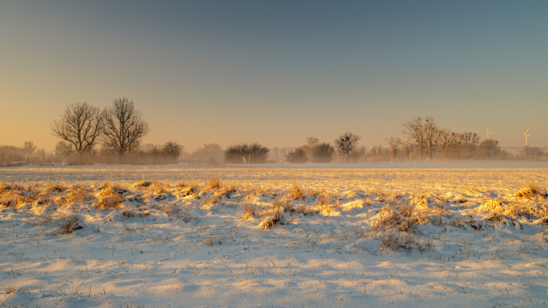 Winterliche Morgenstimmung