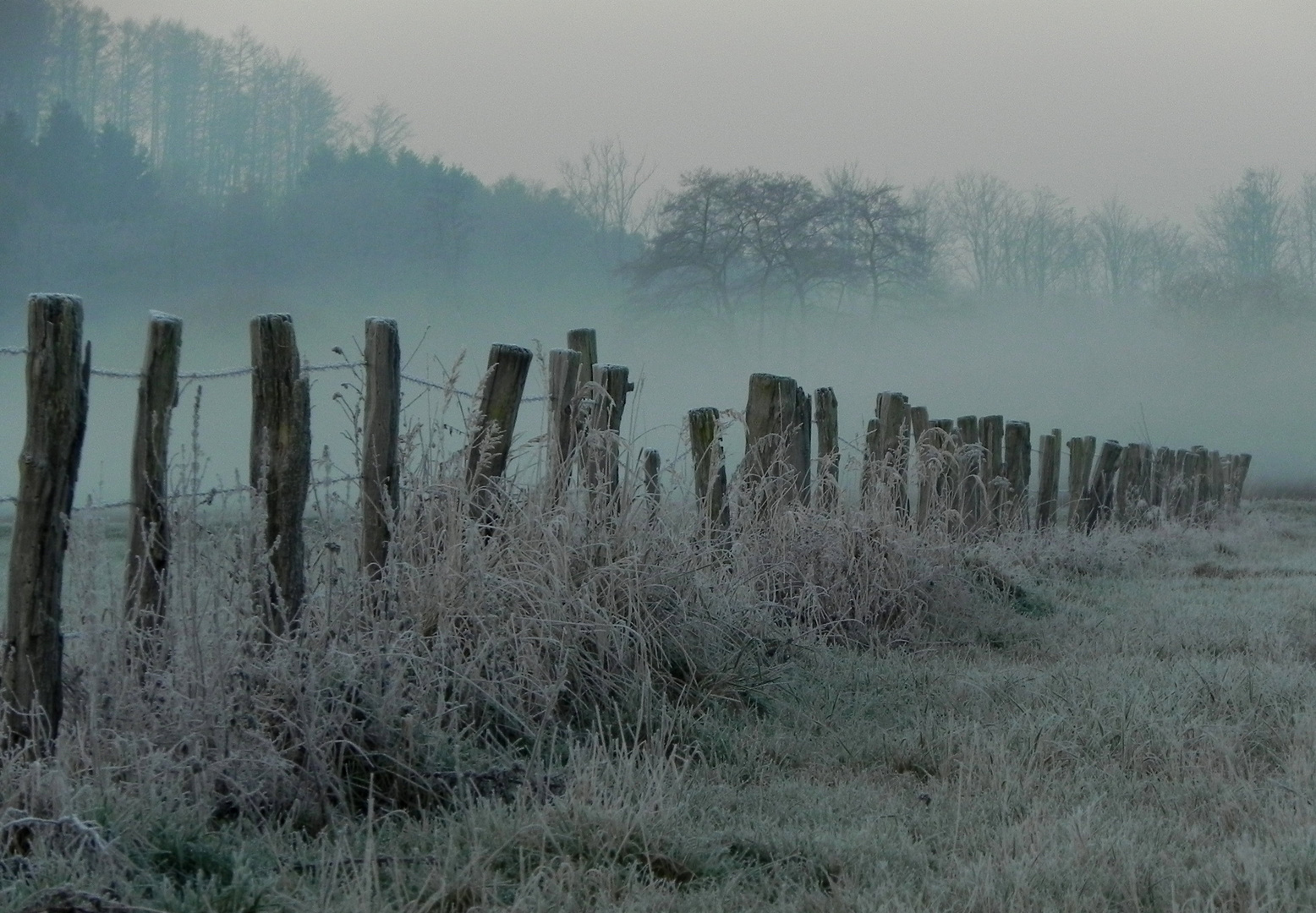 Winterliche Morgenstimmung