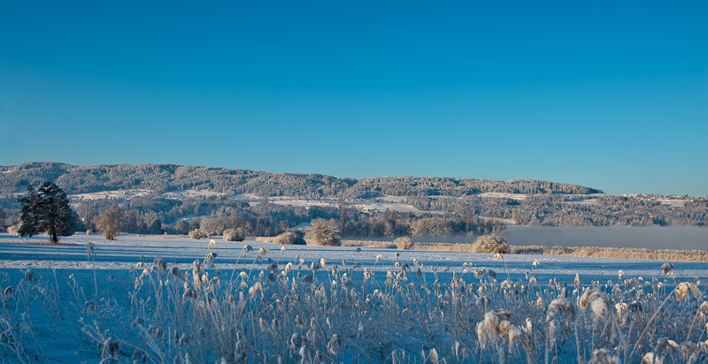 Winterliche Morgenstimmung am Greifensee