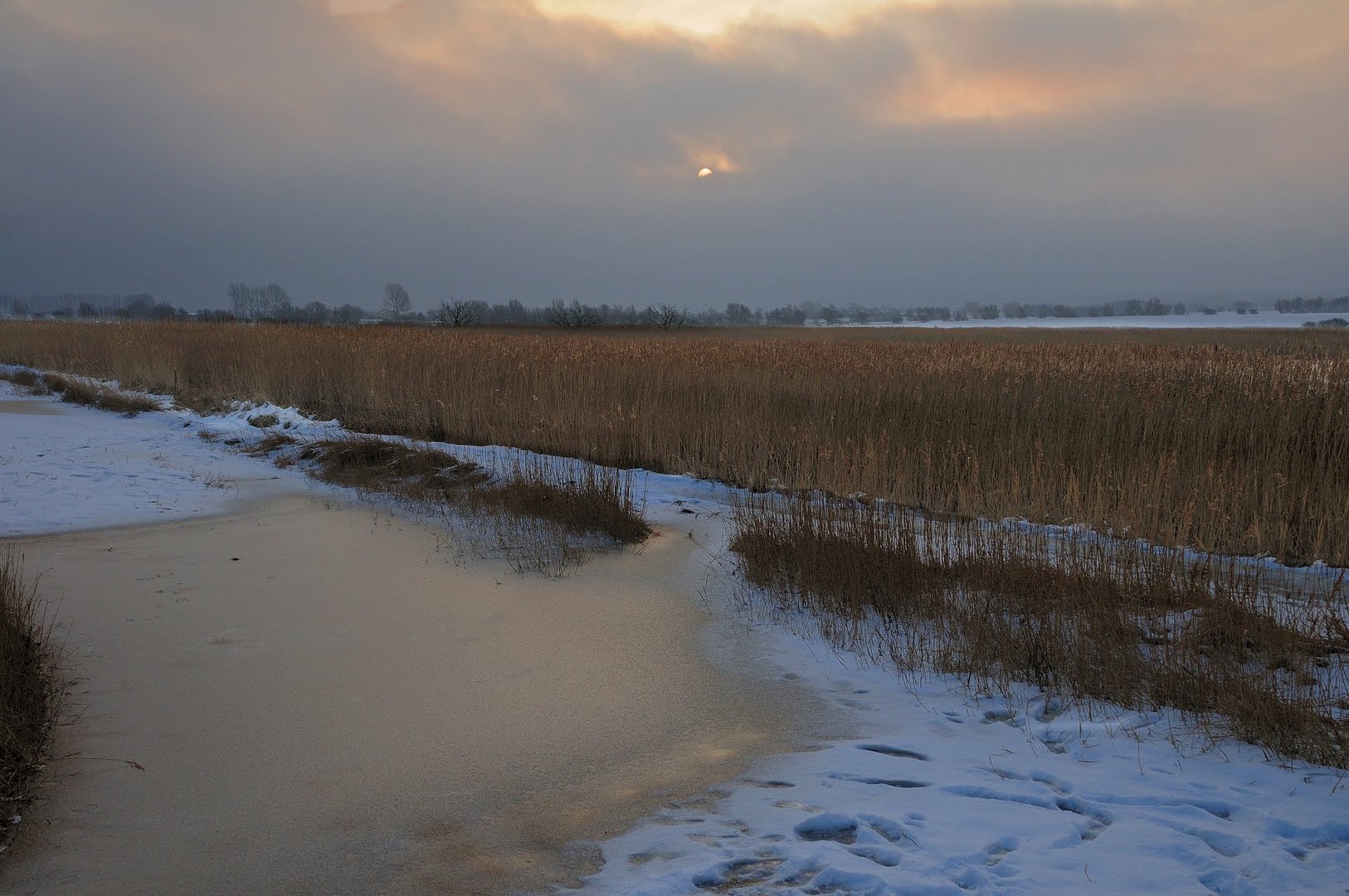 winterliche Morgenstimmung am Riedensee