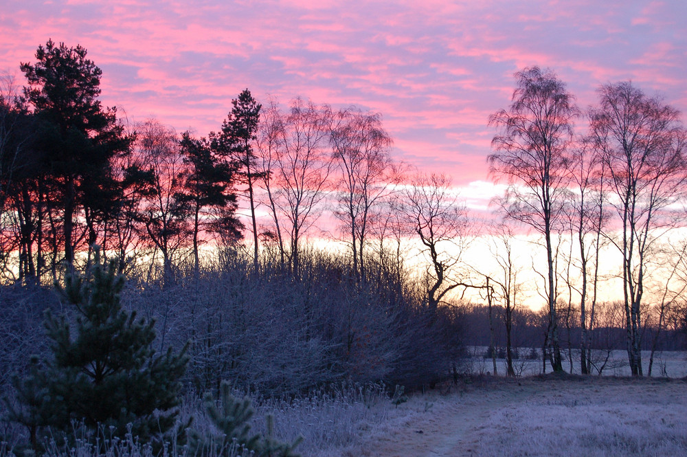 Winterliche Morgenstimmung