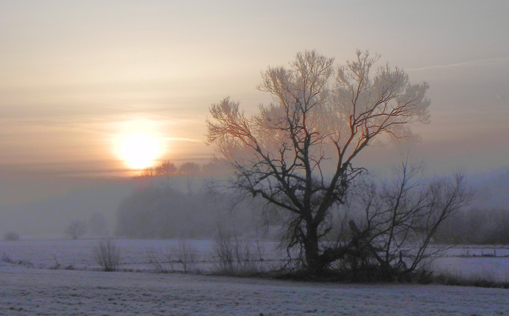 Winterliche Morgenstimmung im Möhnetal