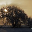 Winterliche Morgenstimmung im Ochsenmoor