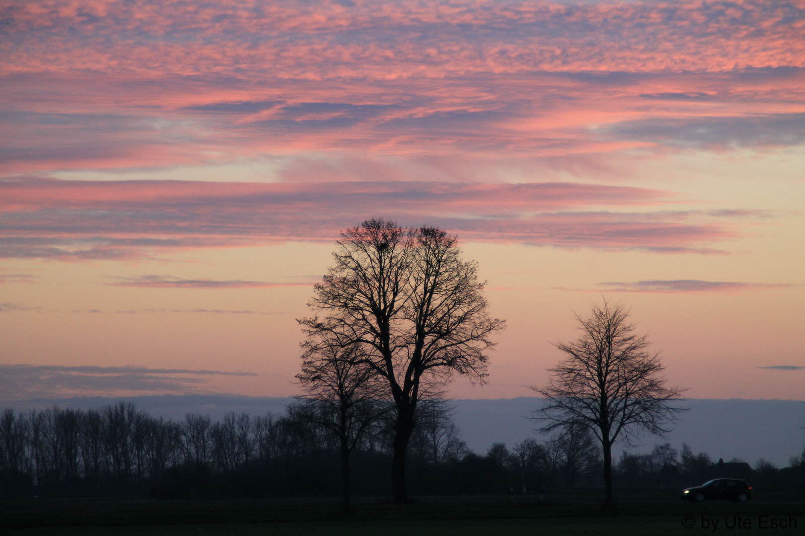 winterliche Nachmittagsstimmung