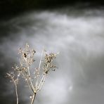 Winterliche Nachtfotografie