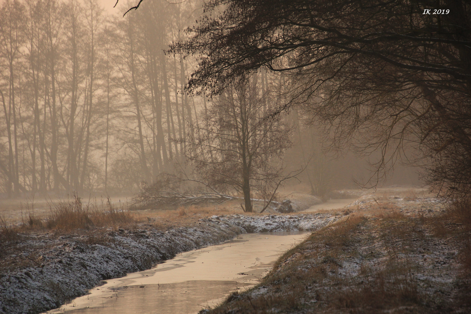 winterliche Nebelstimmung