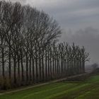 winterliche Niederrhein-Landschaft