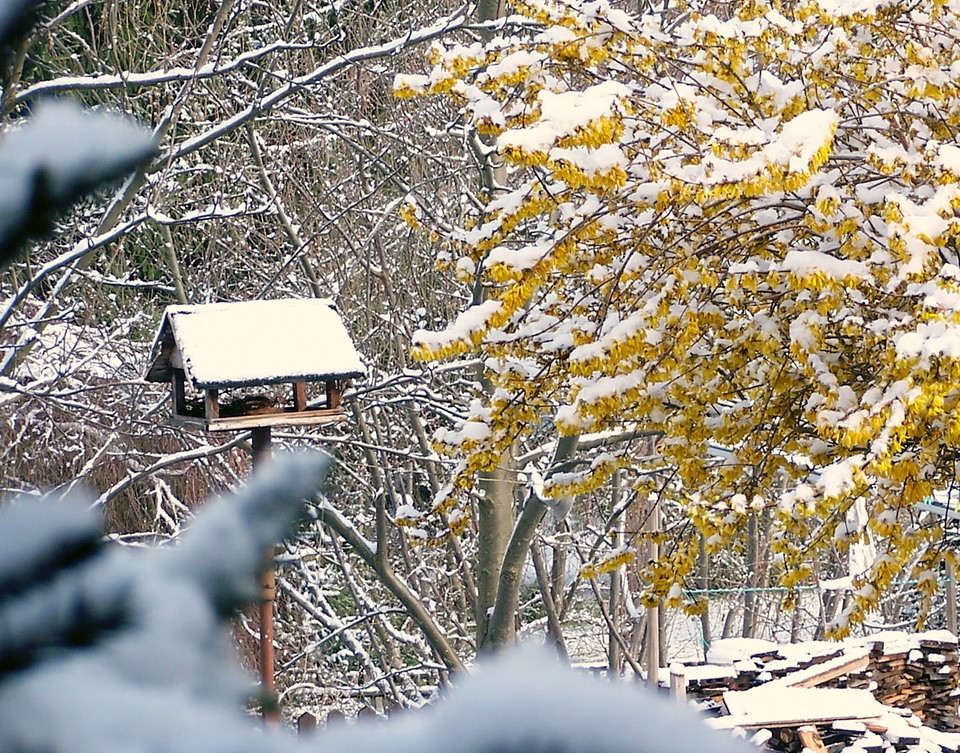 Winterliche Osterdeko