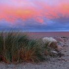 Winterliche Ostsee am Abend